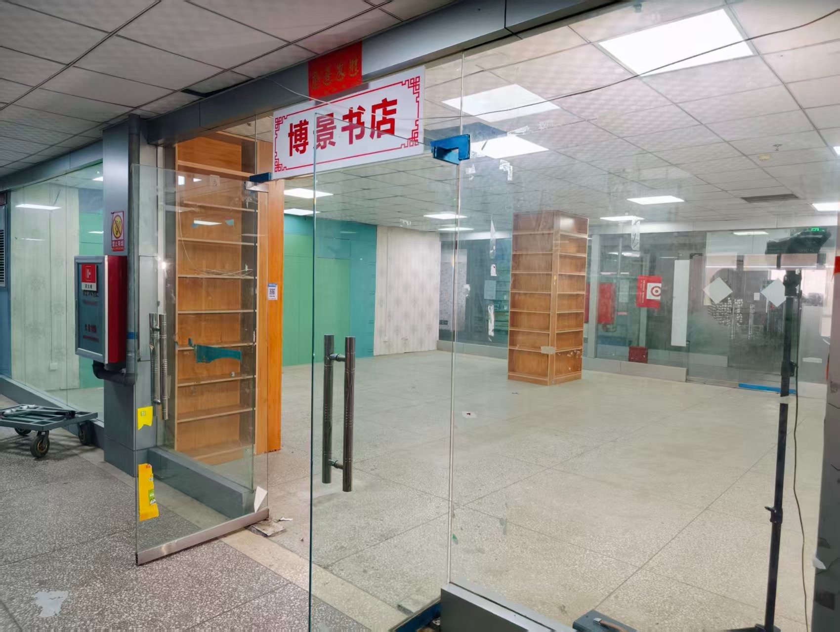 秦岭路AI浪潮已至，优质企业抢先布局
